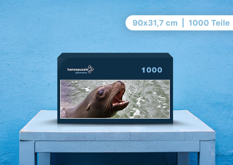 89903 Tierwelt - Seelöwe