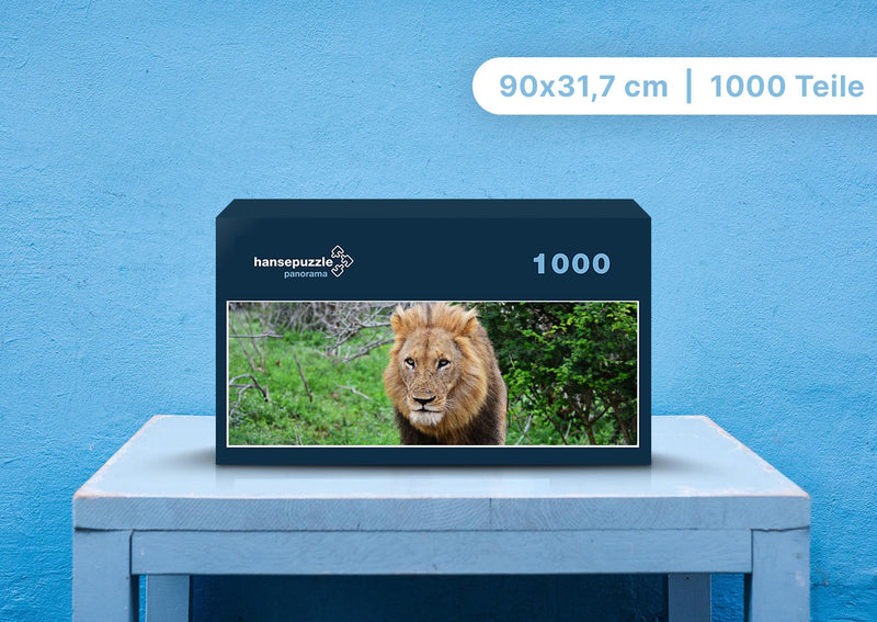92074 Tierwelt - Löwe