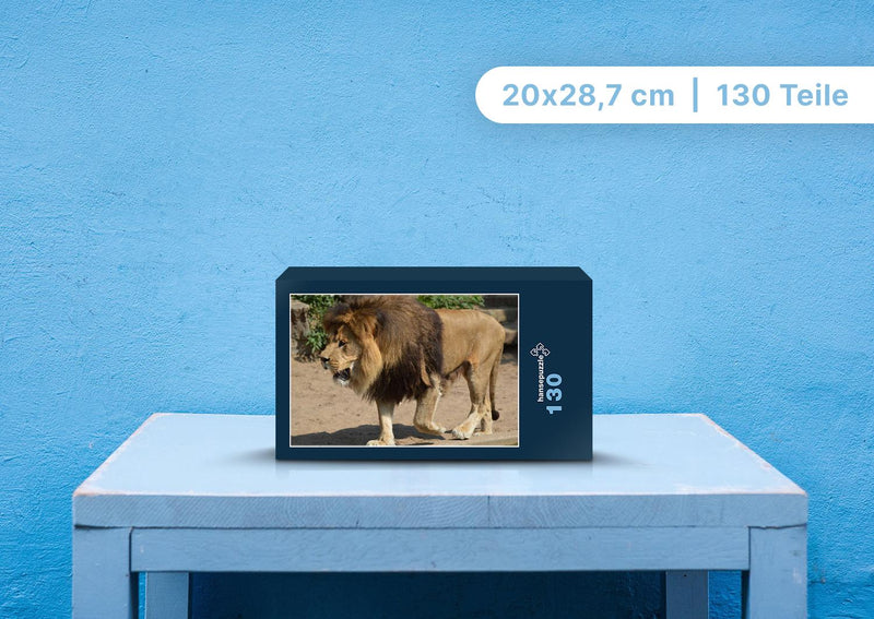 90131 Tierwelt - Löwe