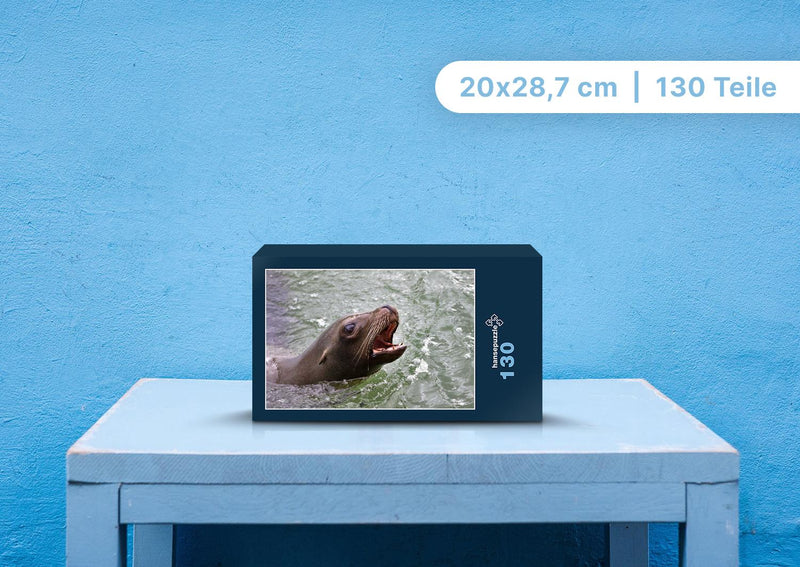 89899 Tierwelt - Seelöwe