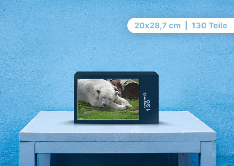 93613 Tierwelt - Eisbär