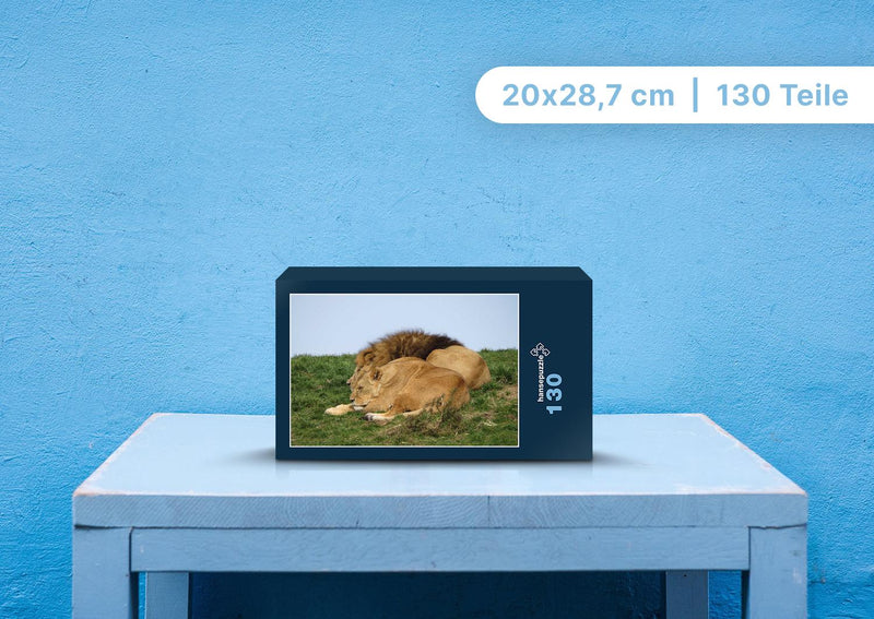 92098 Tierwelt - Löwenpaar