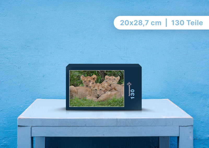 90288 Tierwelt - Löwen