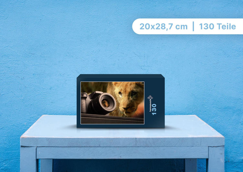 89885 Hintergründe - Löwe