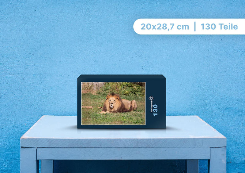92032 Tierwelt - Löwe