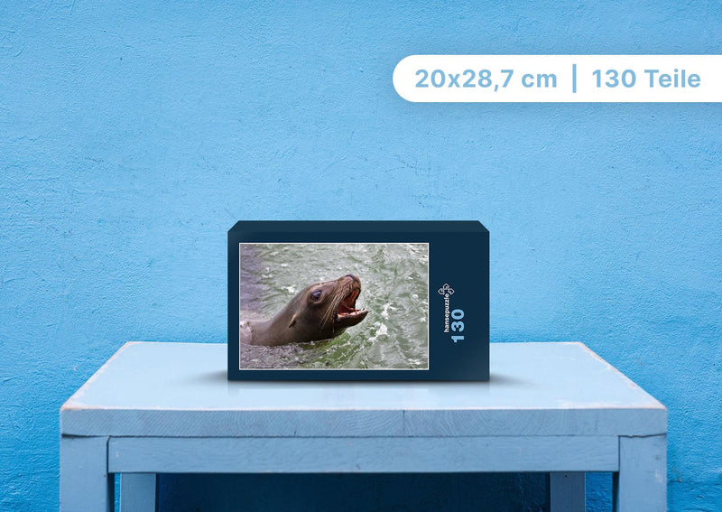 90632 Tierwelt - Seelöwe