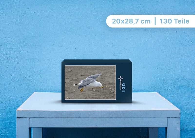 89819 Tierwelt - Fliegende Möwe