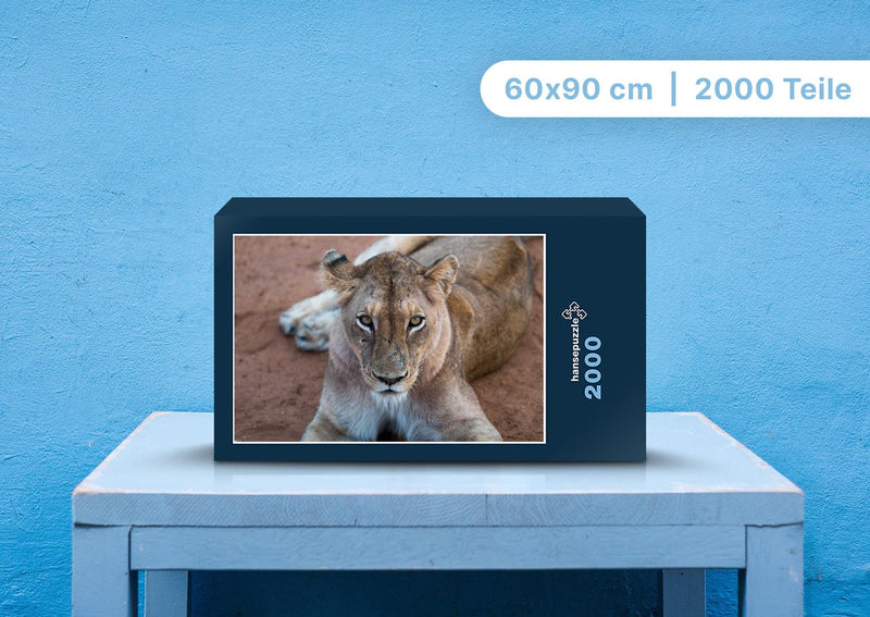 92550 Tierwelt - Löwe
