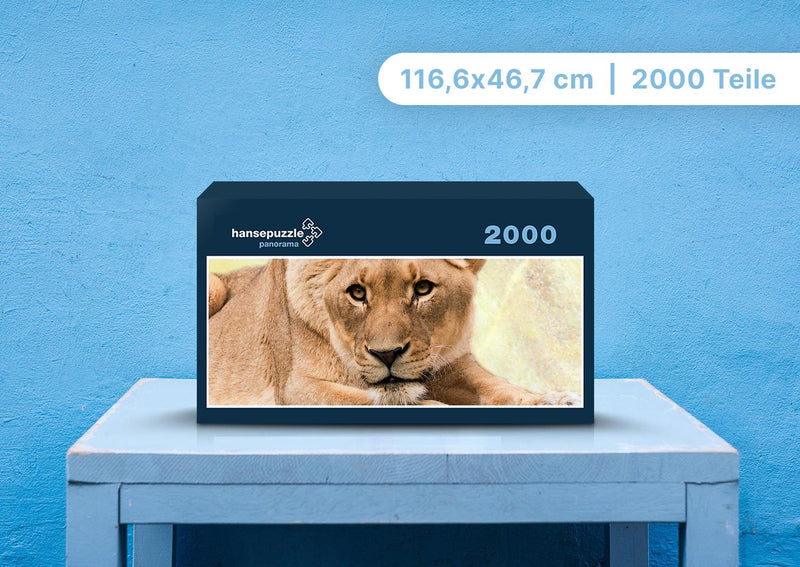 92086 Tierwelt - Löwin