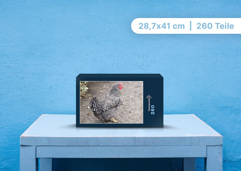 91702 Tierwelt - Huhn