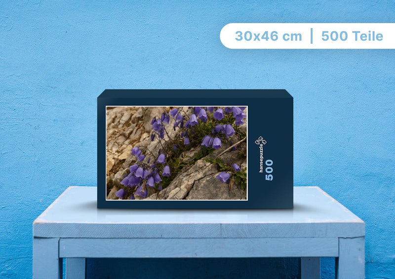 90004 Natur - Glockenblume