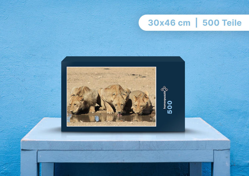 90105 Tierwelt - Löwen