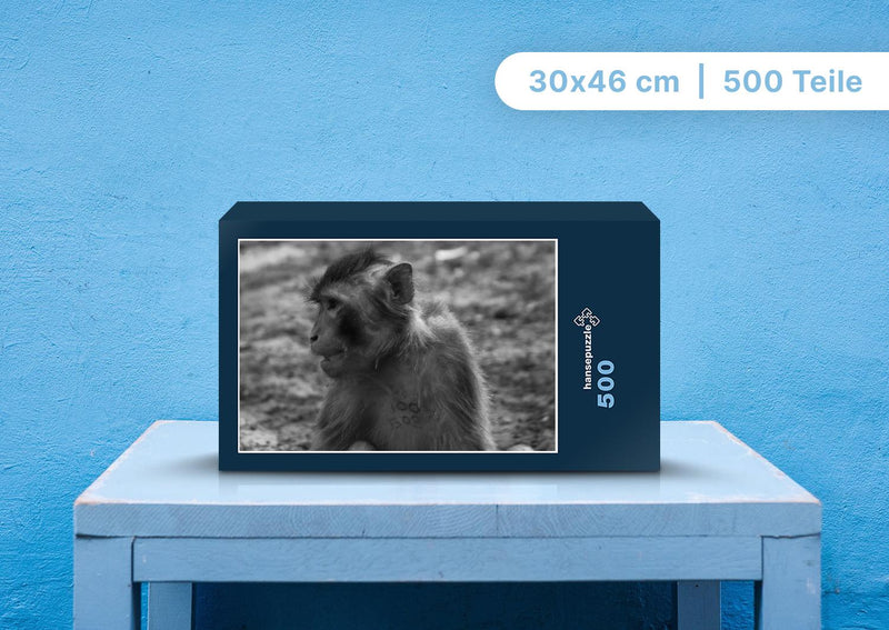 91549 Tierwelt - Affe