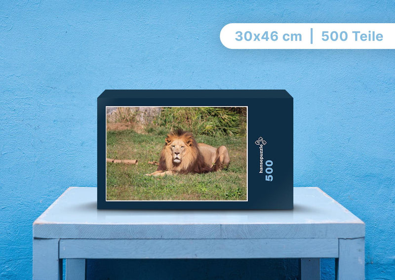 92034 Tierwelt - Löwe