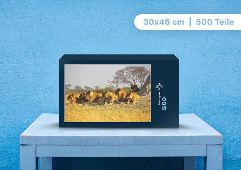 92131 Tierwelt - Löwen