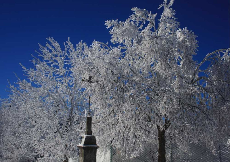 58861 Natur - Winter Puzzle