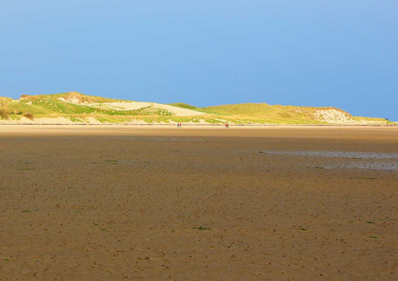 91745 Natur - Wattenmeer