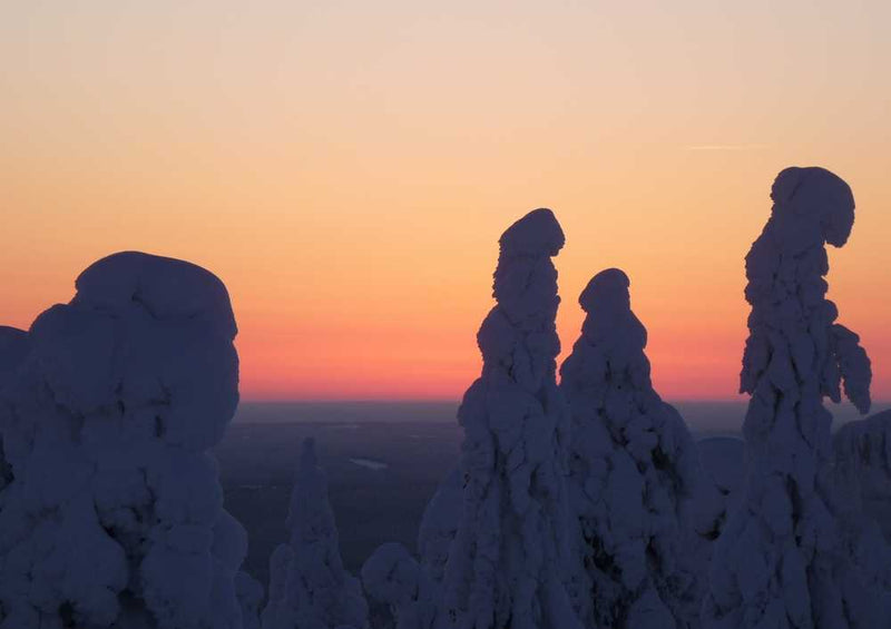 53645 Natur - Winter Puzzle