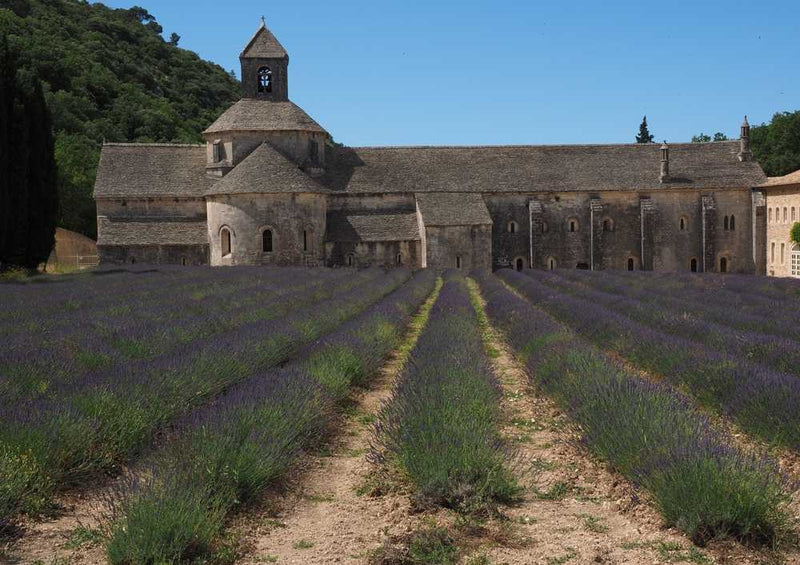 63555 Religion - Abbaye de Sénanque