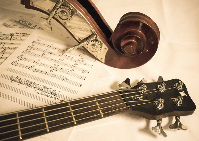 89031 Musik - Instrument