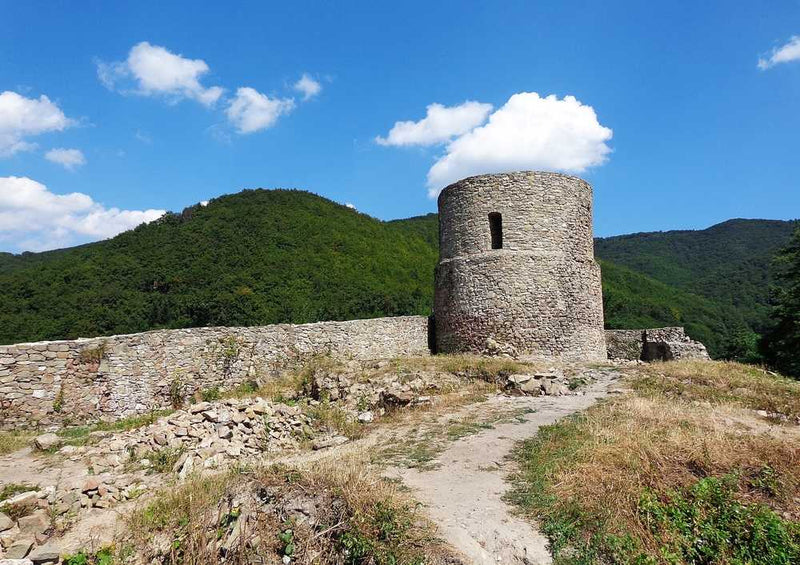 59160 Natur - Burg-Ruine Puzzle