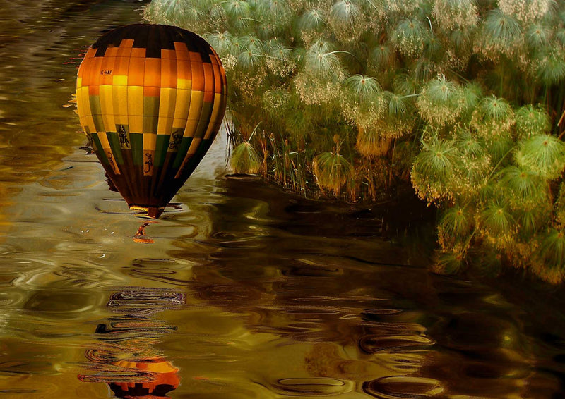 89795 Natur - Heißluftballon