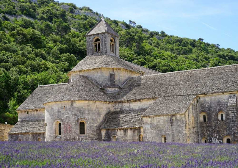 64215 Religion - Abbaye de Sénanque