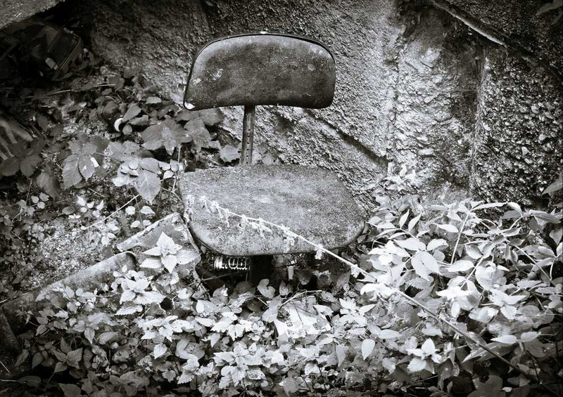 64266 Natur - bewachsen