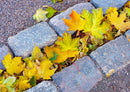 50527 Hintergründe - Herbst Puzzle
