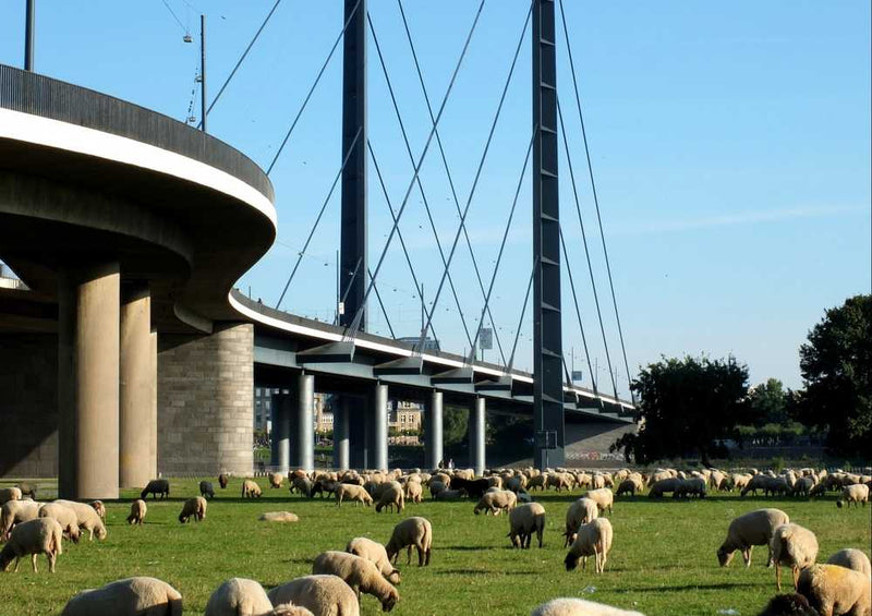 63539 Natur - Rheinbrücke