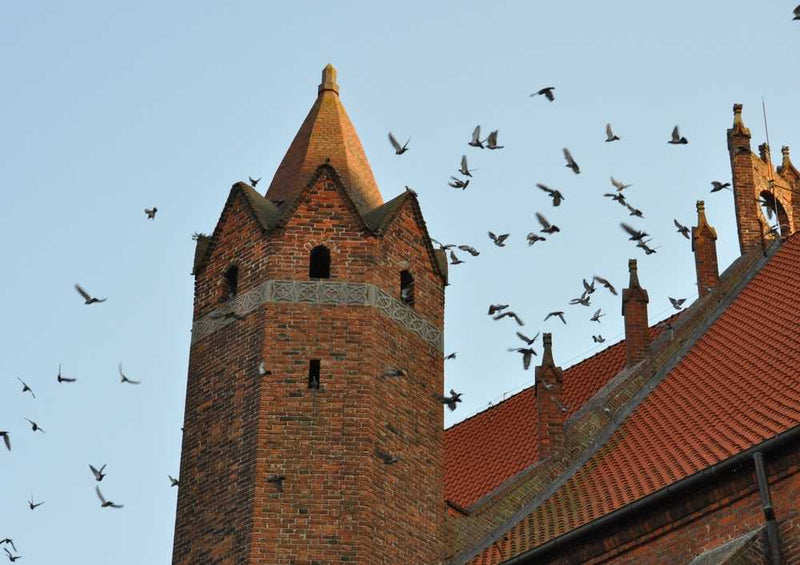 54620 Hintergründe - Kirche Puzzle