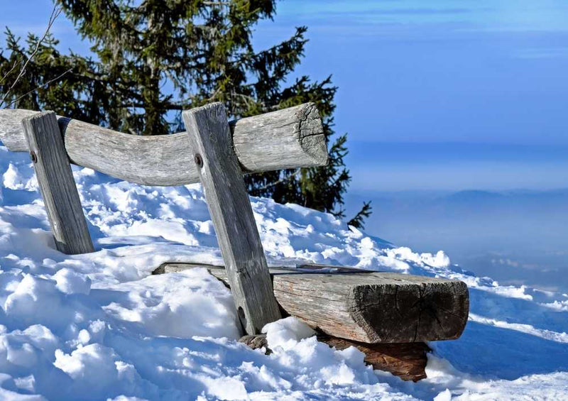 49591 Natur - Winterlandschaft Puzzle
