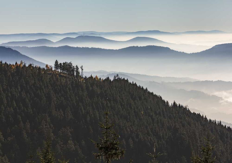 46729 Natur - Schwarzwald Puzzle