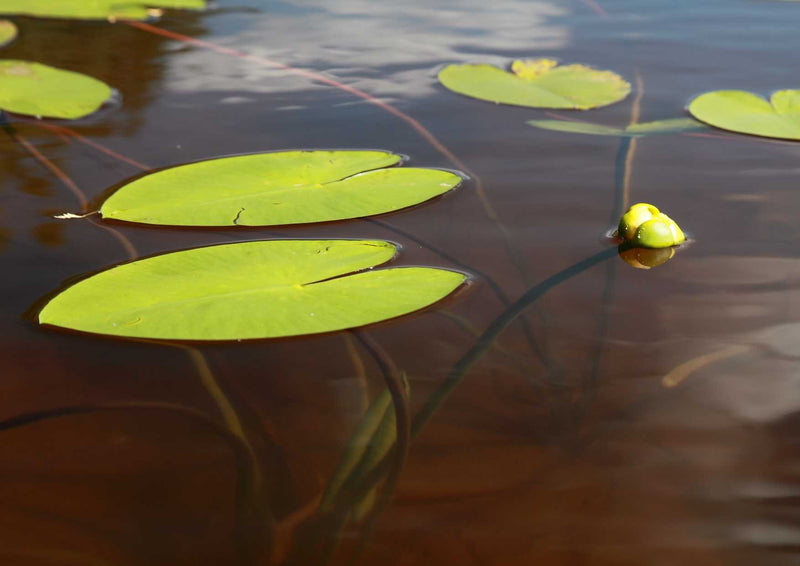91643 Natur - See