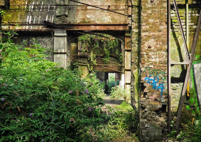 64220 Natur - Lost places