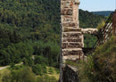 63704 Natur - Ruine