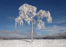 49675 Natur - Winter Puzzle