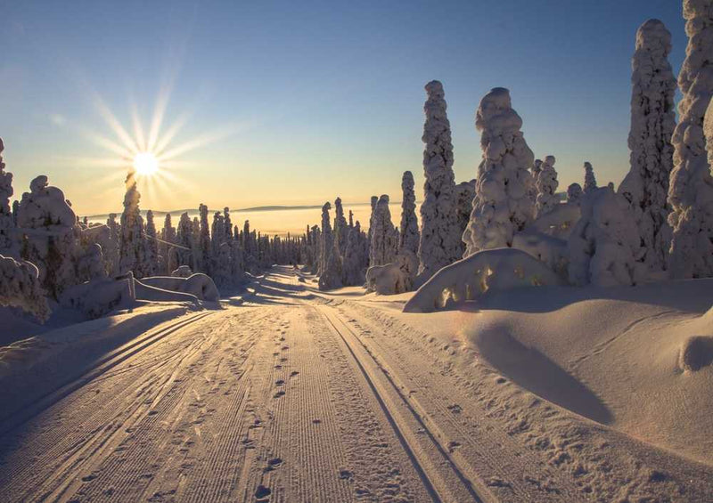 50533 Reisen - Finnland Puzzle