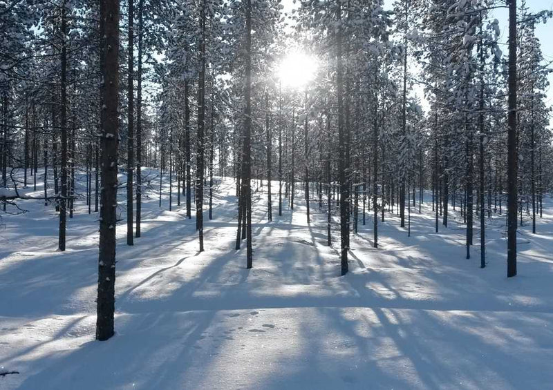 50576 Natur - Finnland Puzzle