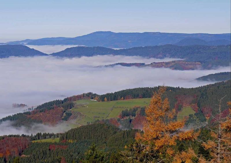 46717 Natur - Schwarzwald Puzzle