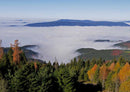 46666 Natur - Herbstnebel Puzzle