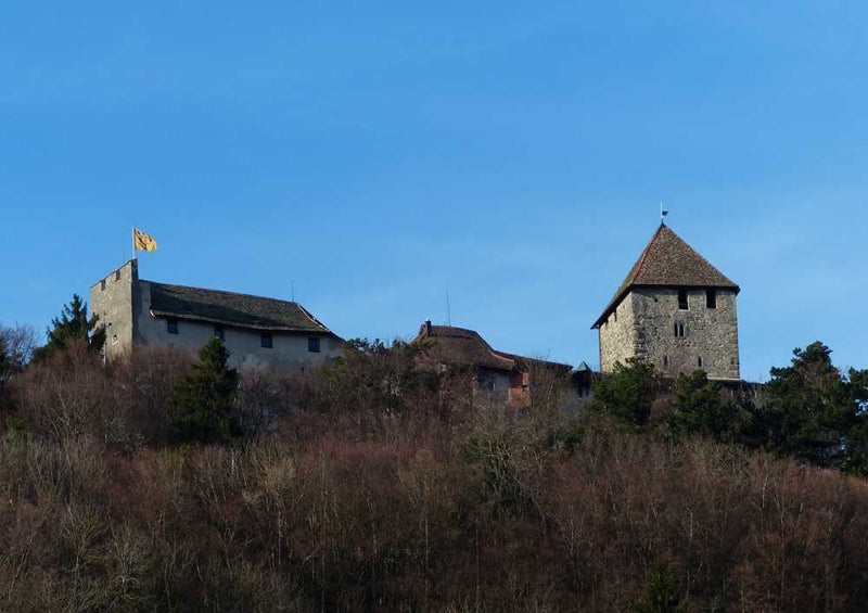 63526 Gebäude - Schloss Hohenklingen