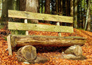 49606 Natur - Wald Puzzle