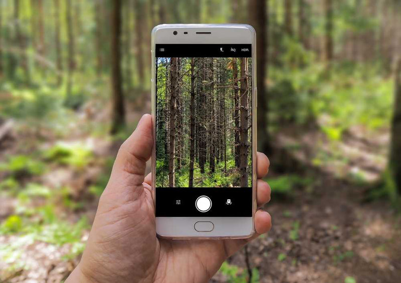 50575 Hintergründe - Wald Puzzle