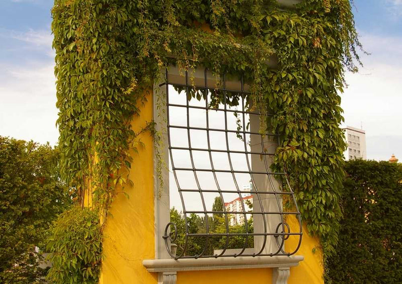 67046 Hintergründe - Garten