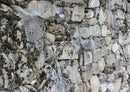 58653 Hintergründe - Stadtmauer Puzzle