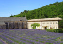 63563 Natur - Abbaye de Sénanque