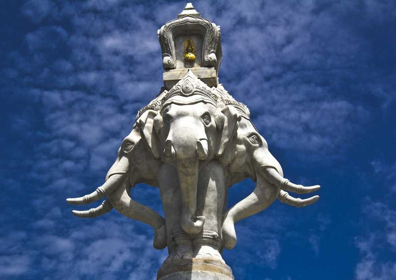 54624 Tierwelt - Statue Puzzle