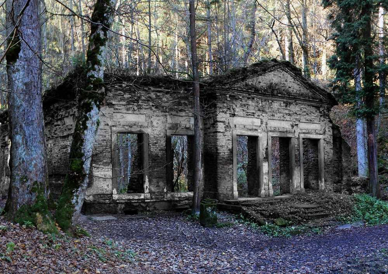 58825 Natur - Wald Puzzle