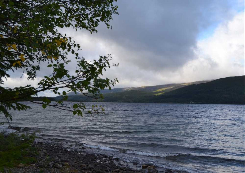 66719 Natur - Norwegen Puzzle